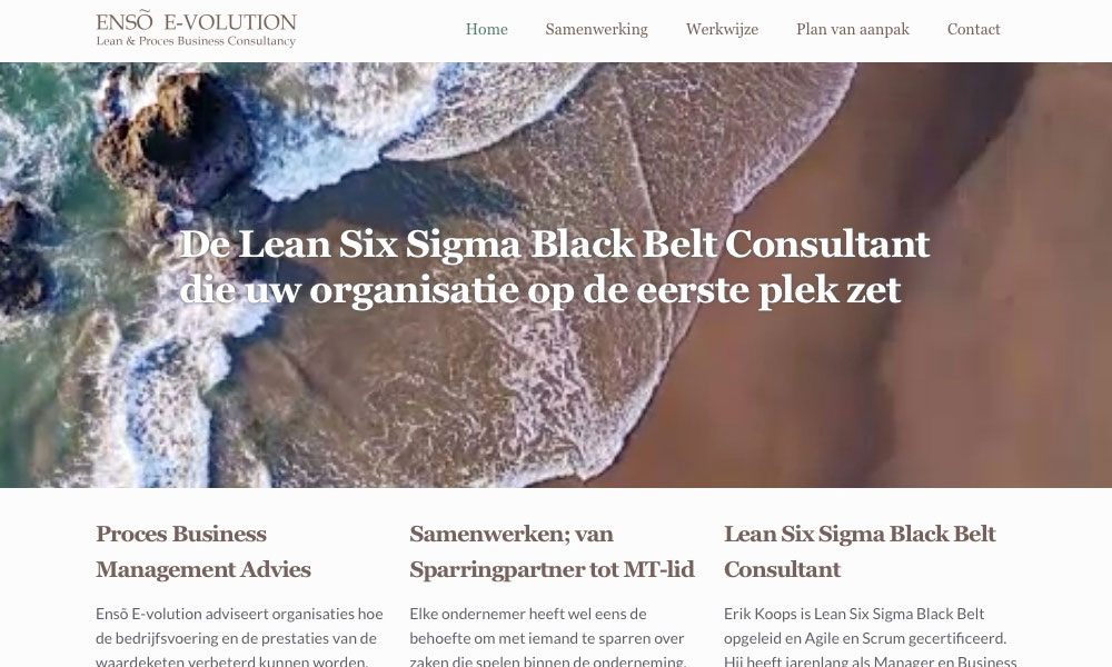 Enso E-Volution Lean Six Sigma Black Belt Consultant