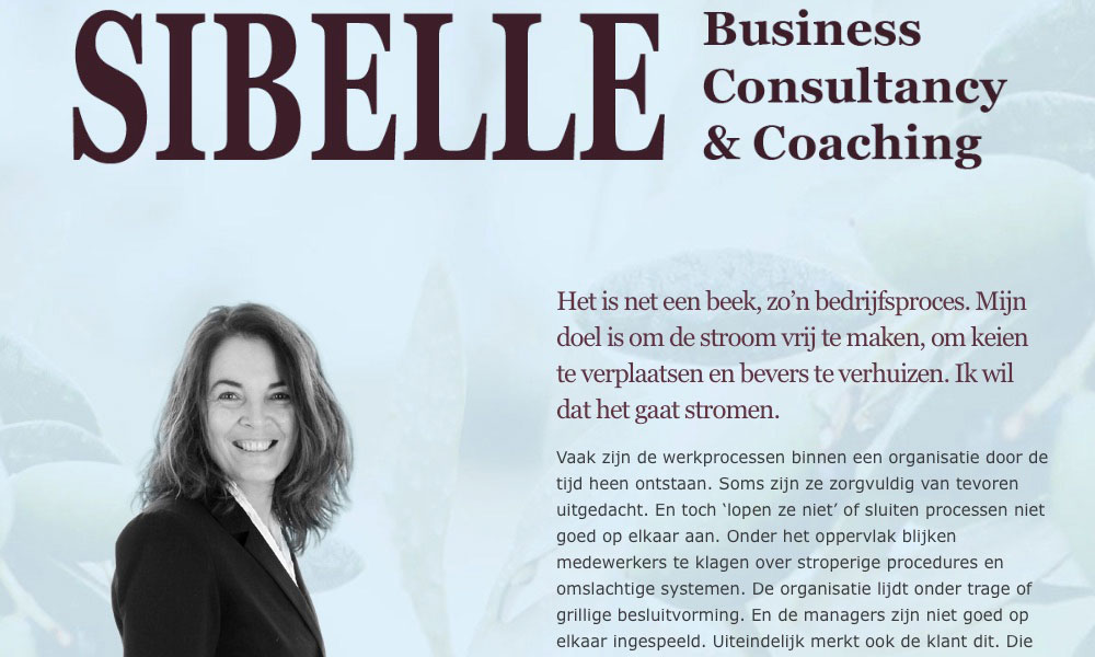 Sibelle Business Consultancy & Coaching